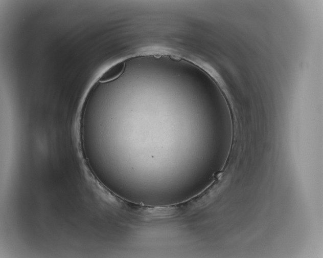 X0000114681008200910211206