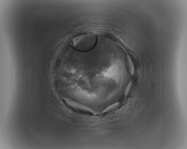 X0000114681009200910211206