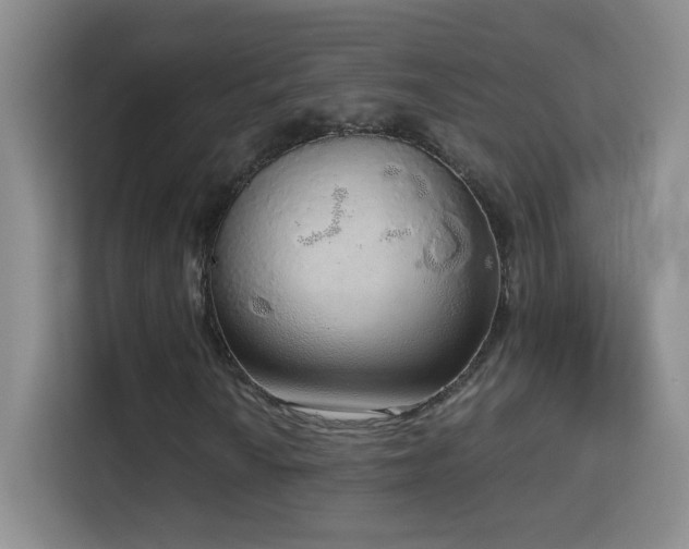 X0000114681010200910211206