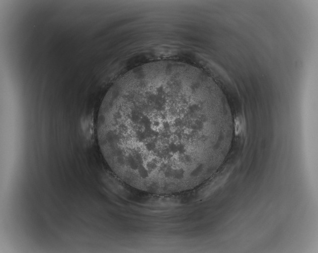 X0000114681011200910211206
