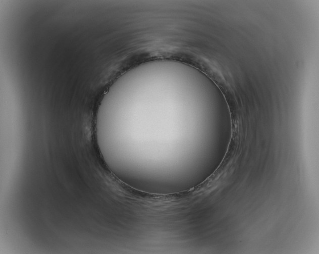 X0000114681012200910211206