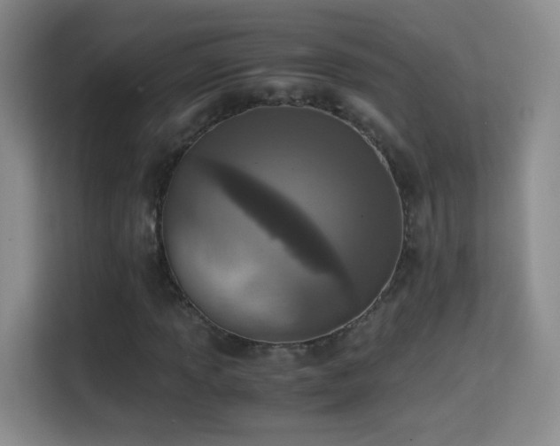 X0000114681013200910211206