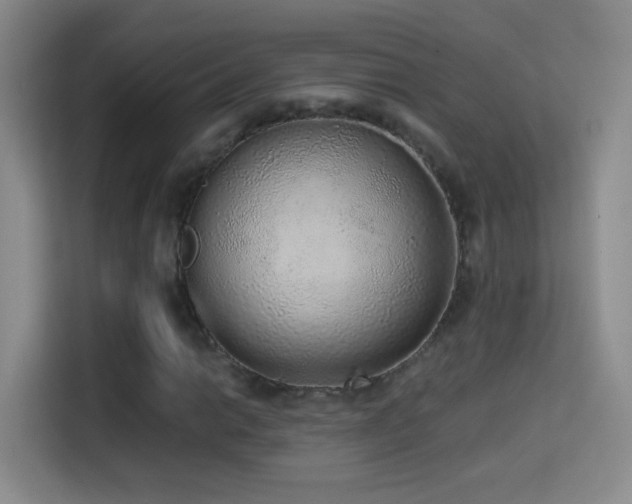 X0000114681014200910211206