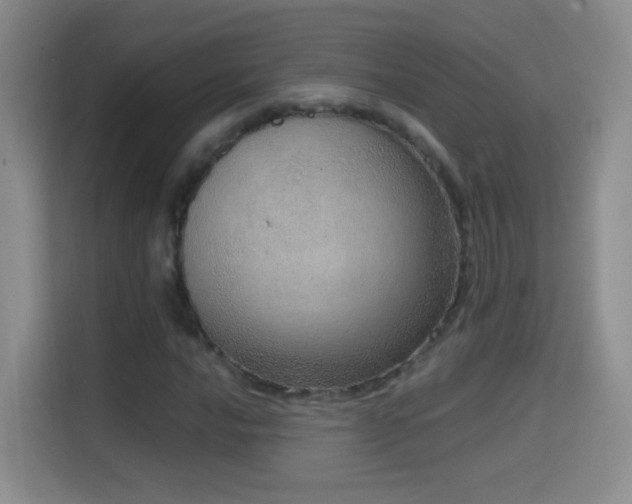 X0000114681016200910211206
