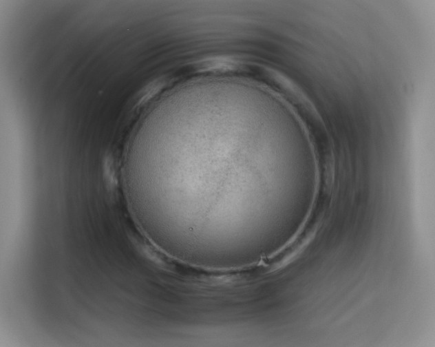 X0000114681017200910211206