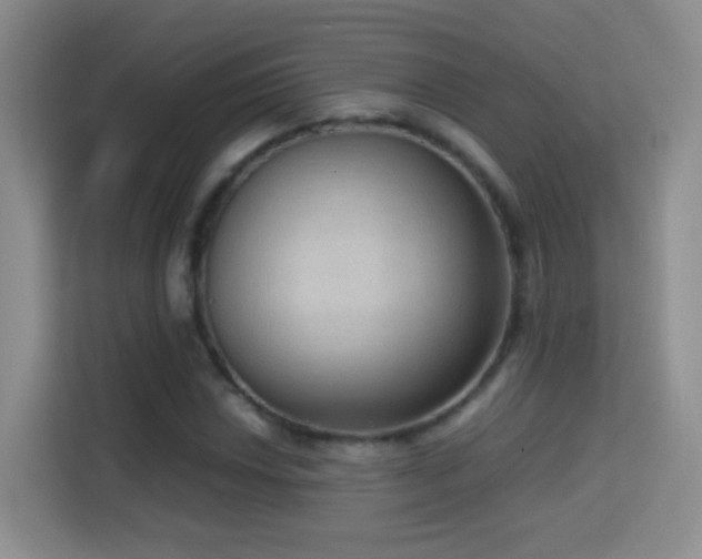 X0000114681018200910211206