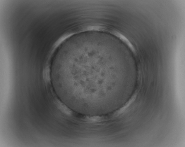 X0000114681019200910211206