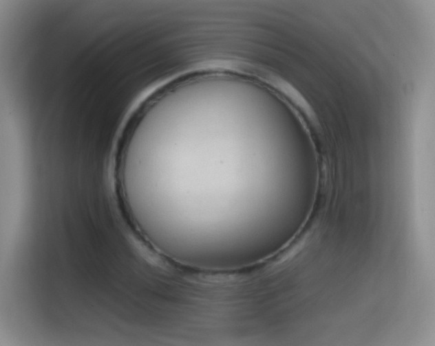 X0000114681020200910211206