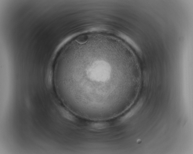 X0000114681021200910211206