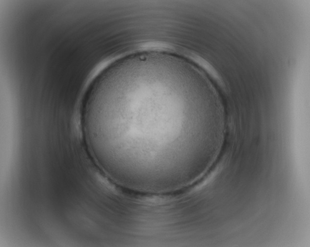 X0000114681022200910211206