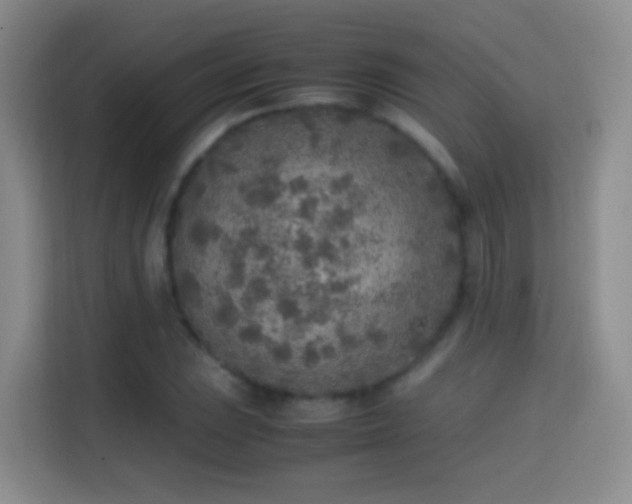 X0000114681023200910211206