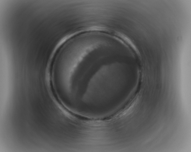 X0000114681024200910211206