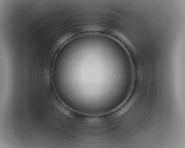 X0000114681025200910211206