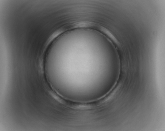 X0000114681026200910211206