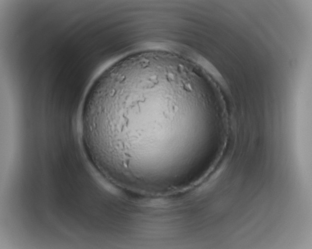 X0000114681028200910211206
