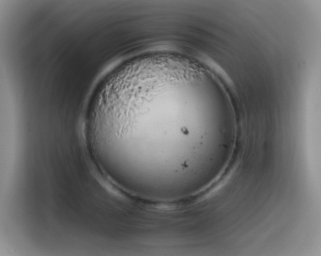 X0000114681029200910211206