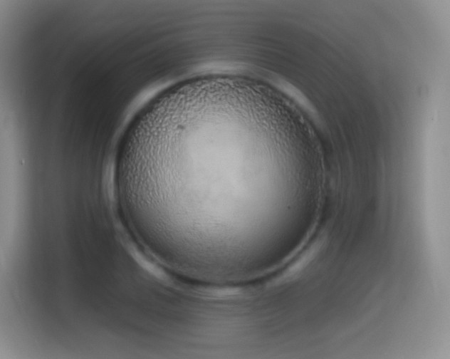 X0000114681030200910211206
