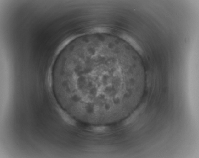 X0000114681031200910211206