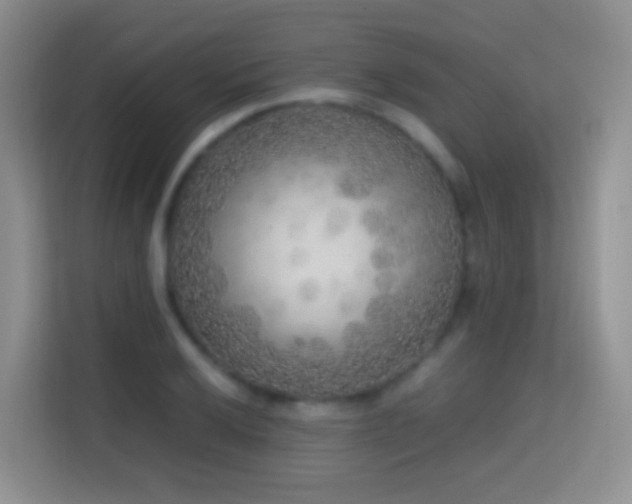 X0000114681032200910211206