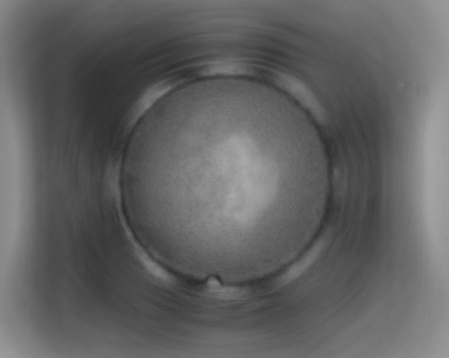 X0000114681033200910211206