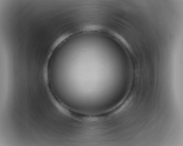 X0000114681034200910211206