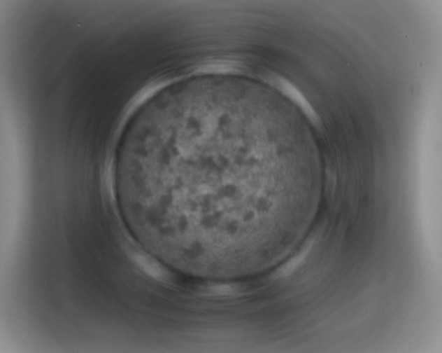 X0000114681035200910211206