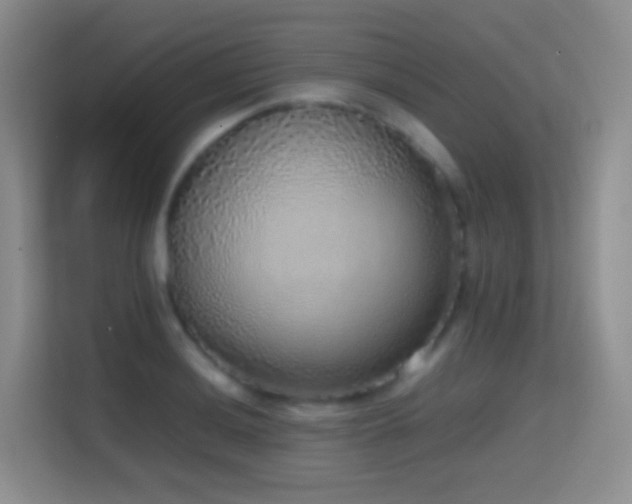 X0000114681036200910211206
