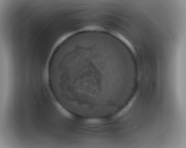 X0000114681037200910211206