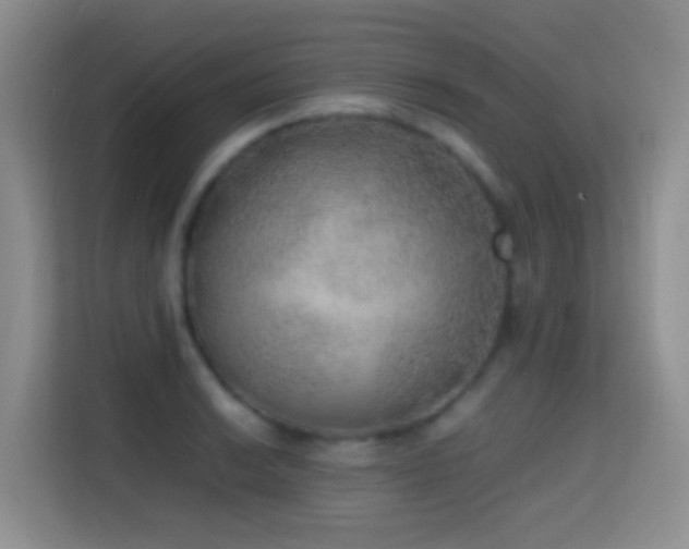 X0000114681038200910211206