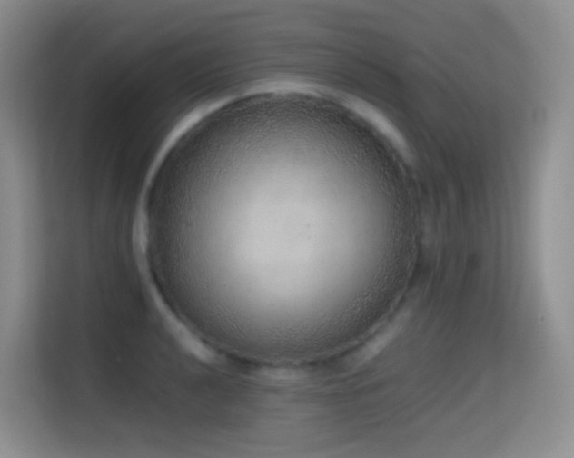X0000114681040200910211206