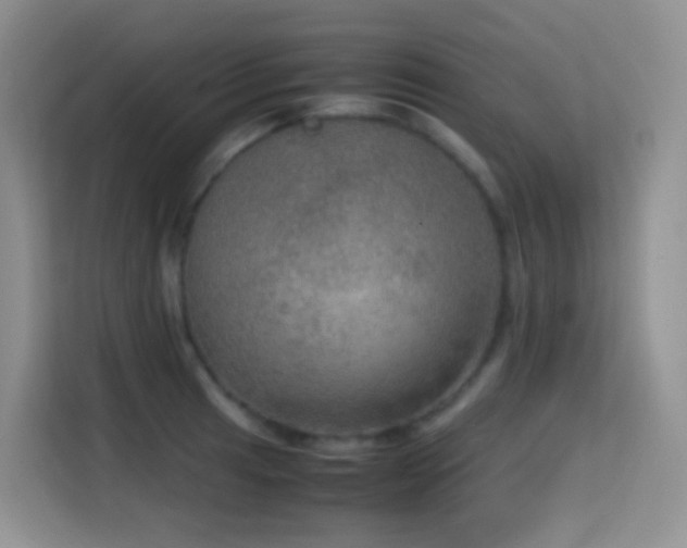 X0000114681041200910211206