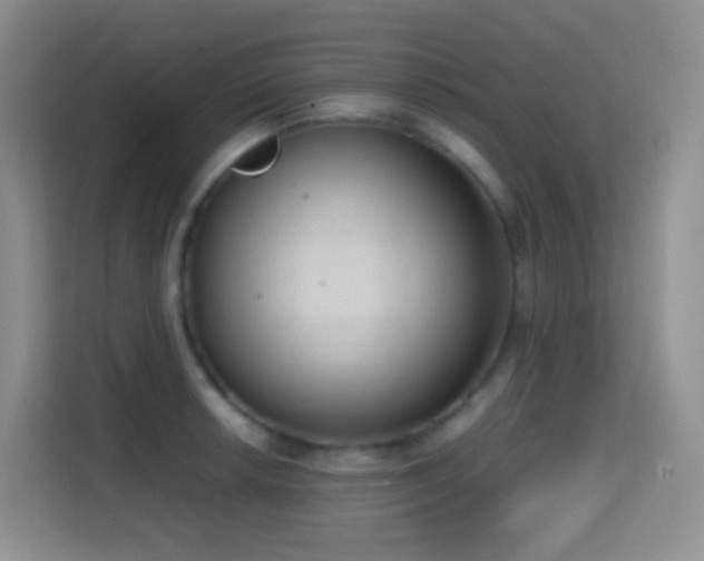 X0000114681042200910211206