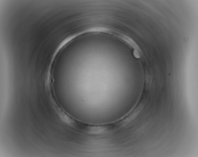 X0000114681044200910211206