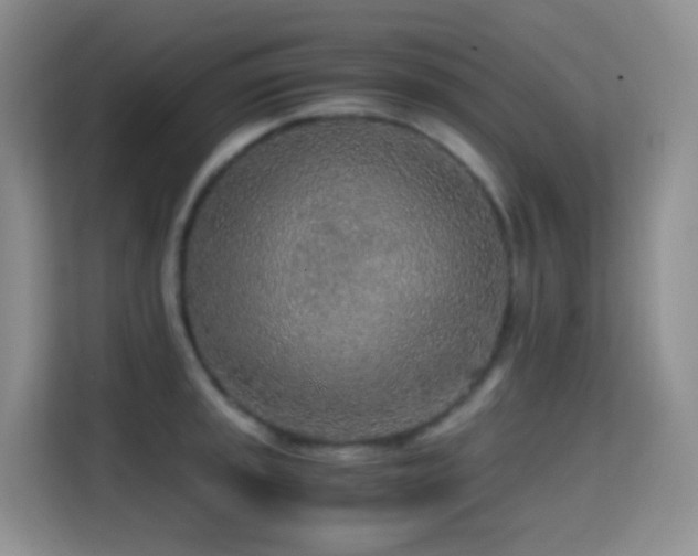 X0000114681045200910211206