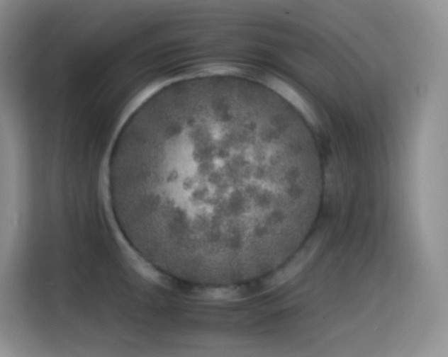 X0000114681047200910211206