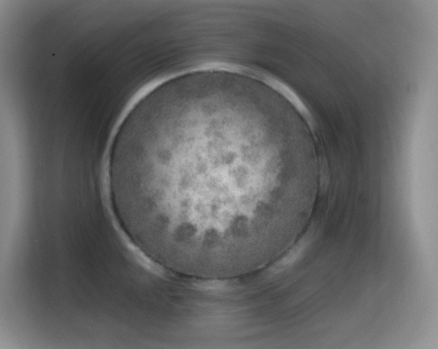 X0000114681048200910211206