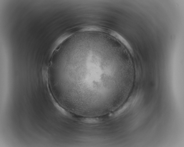 X0000114681049200910211206