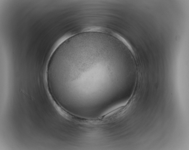 X0000114681050200910211206