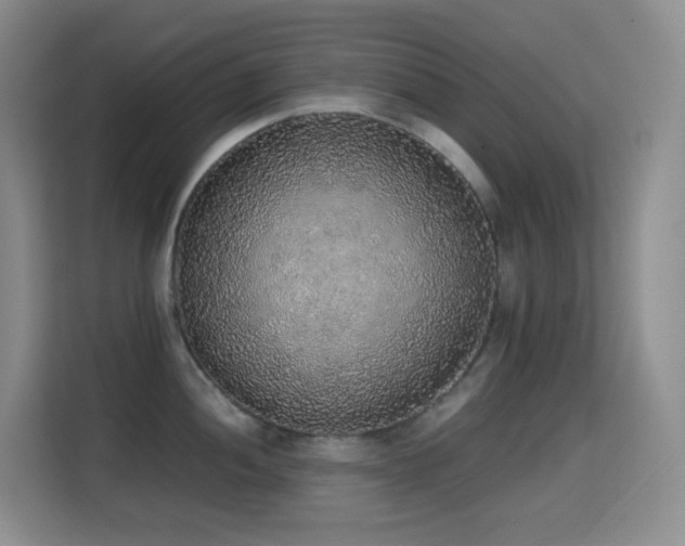 X0000114681052200910211206