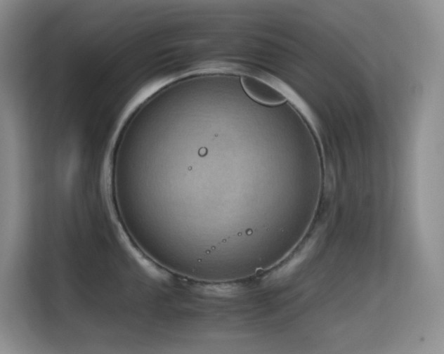 X0000114681053200910211206