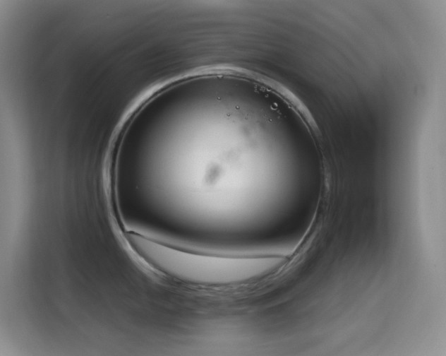 X0000114681054200910211206