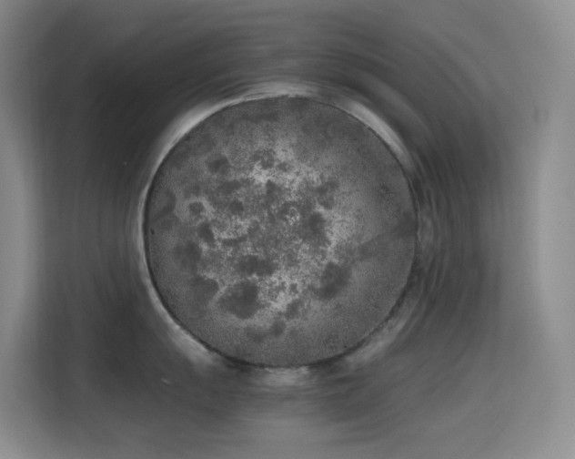 X0000114681055200910211206