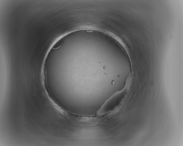 X0000114681056200910211206