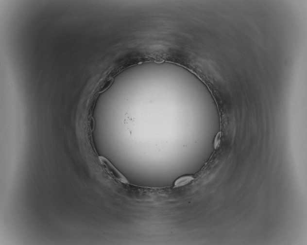 X0000114681057200910211206