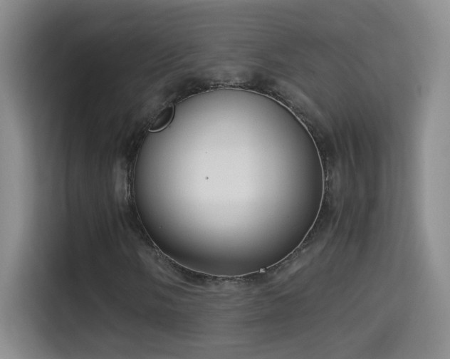 X0000114681058200910211206