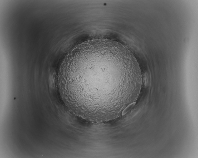X0000114681059200910211206