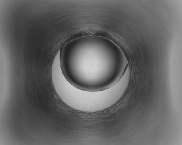 X0000114681060200910211206