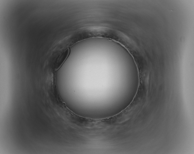 X0000114681061200910211206