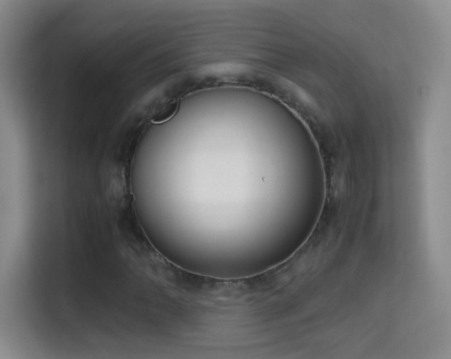 X0000114681062200910211206