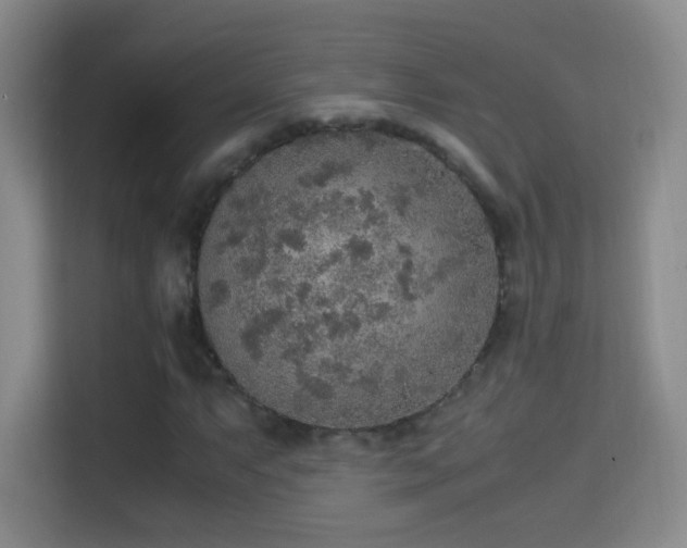 X0000114681063200910211206